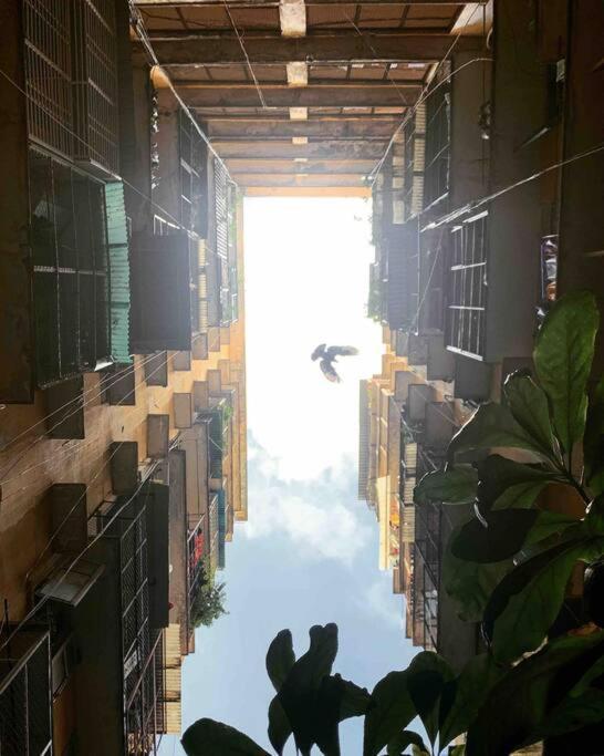 Saigonese Lifestyle - Near Ben Thanh Market Ho Chi Minh-Byen Eksteriør billede